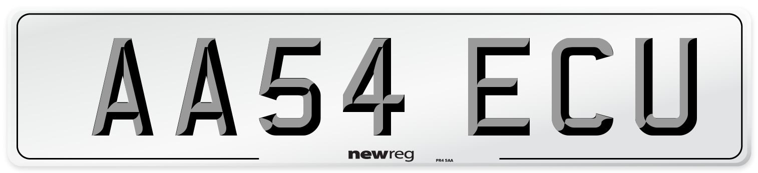 AA54 ECU Number Plate from New Reg